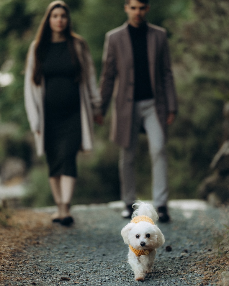 Tatiana & Ivan — baby bump Glendalough, Glendalough, Co. Wicklow