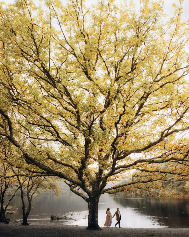 Maternity photography — Weddings by Max